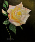 Peace Rose Oil Painting