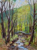 Solstice Canyon Creek, Malibu